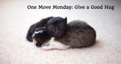 One Move Monday Give a Good Hug - Cute Hugging Kittens 