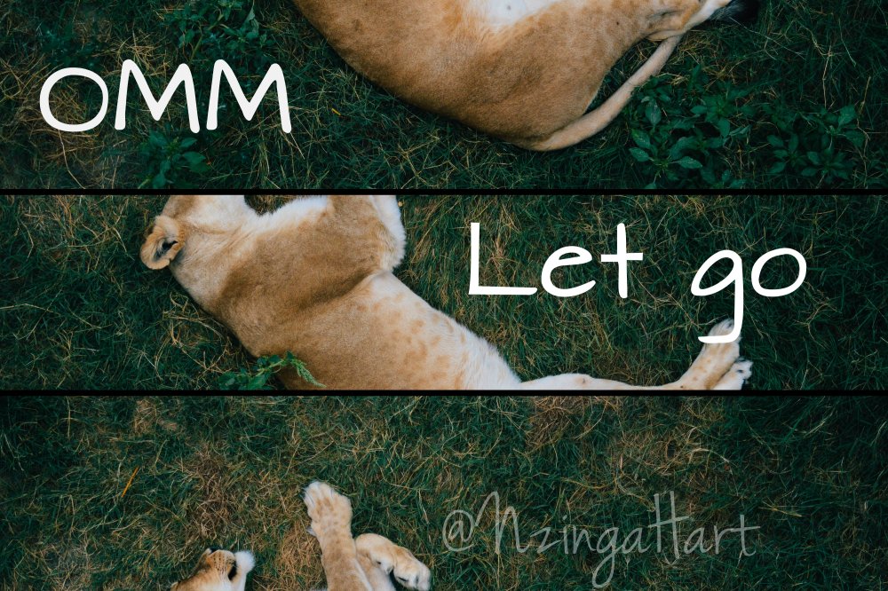 Like a lion sleeping in the grass even the most competitive of entrepreneurs have to let go sometimes.