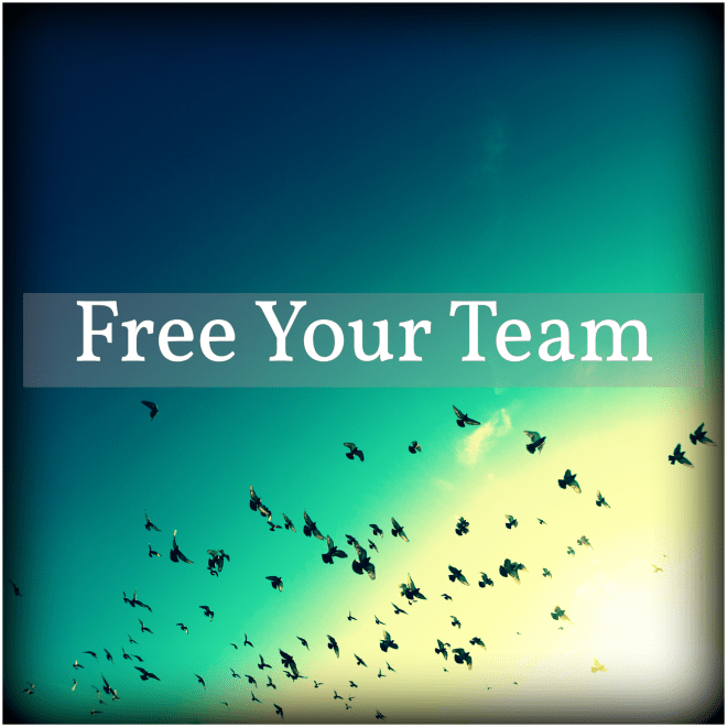 free your team